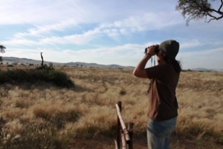 Wildes Camp im Namib-Naukluft NP