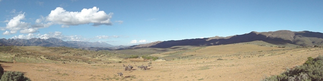 Swartberg Region