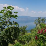 Lago de Coatepeque
