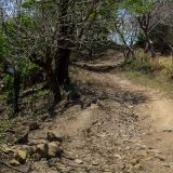 In Nicaragua findet man noch richtig einsame Pisten vor. 
