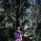 Unterwegs im "Parque Nacional Ybycui".

