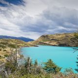Typische Patagonische Landschaft, mit den windgepeinigten Bäumen.
