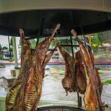 An unserem letzten Abend gehen wir in El Calafate in ein "Tenedor Libre" (essen soviel man möchte). Dies hier ist übrigens eine Spezialität in Argentinien, das Cordero Patagónico (aufgespiestes Schaf).
