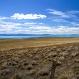 Ein Synonym für Patagonien. Karge Gegend mit kilometerlangen Zäunen.
