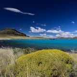 ... welcher mit seinem türkisfarbenen Wasser zu unserem absoluten Lieblingssee in Patagonien geworden ist. 
