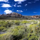Parque Nacional Perito Moreno
