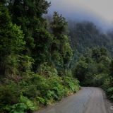 So kennt man die Carretera Austral schon eher, wolkig, nass und immergrün. 
