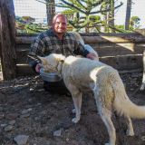 Roger beim Füttern der Huskies. 
