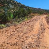 Da die Weiterfahrt zum Osteingang des Zion NP durch einen Felssturz gesperrt ist, müssen wir eine Ausweichroute fahren. Während Sarah und Beat mit ihrem Camper auf der Strasse bleiben, nehmen wir eine 4WD-Abkürzung. Wer wohl schneller ist ... ?
