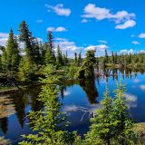 Der Wrangell St. Elias N.P. ist der grösste, aber am wenigsten besuchte National Park der USA. 
