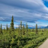Vom Glenn Highway führt eine Piste weg in die Talkeetna Mountains.
