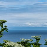 Auf dem Weg nach Homer bekommt man beim Kenai Cook Inlet einen wunderbaren Ausblick auf den immer noch aktiven Redoubt Vulkan vom Lake Clark National Park.
