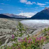 ... zu der drei Kilometer entfernten Gletscherzunge des "Root Glacier", ...
