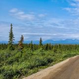 Zum Glück ist der Denali Highway noch nicht vollständig asphaltiert worden. 
