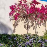 In "Ajijic" besuchen wir ein weiteres sehenswertes "Pueblo Mágico". 
