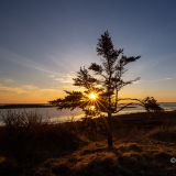 Wie zum Beispiel dieser sensationelle Spot auf Cape Sable Island …
