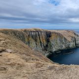 Bei Cape St. Marys erreicht man über einen kurzen Spaziergang entlang der Klippen …
