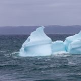 Eine der Hauptattraktionen von Neufundland/Labrador sind die vorbeiziehenden Eisberge. Die Eisbergsaison hat gestartet und ist in vollem Gange. Unser erstes Exemplar sehen wir bei der "Chance Cove". 
