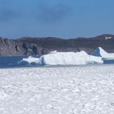 Dafür hält "Twillingate", was es verspricht. Eisberge direkt in Dorfnähe. 
