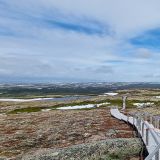 Einen kurzen Abstecher ans Meer unternehmen wir doch noch einmal. Bei "Red Bay", einer ehemaligen Walfangstation, wandern wir auf Tipp von Einheimischen zum Aussichtspunkt hoch. 

