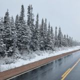 Auch in Labrador ist Schnee unser ständiger Begleiter. 
