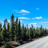 Impressionen vom "Trans Labrador Highway". 
