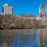 Etwas gemütlicher zu und her geht es im "Central Park", dem 3.41 km² grossen Stadtpark von "New York". 
