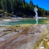 Auch diesmal statten wir dem "Norris Geyser Basin" einen Besuch ab ...
