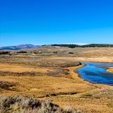 Vom "Yellowstone River Overlook" erhält man einen schönen Überblick über die herbstlich gefärbte Landschaft des National Parks. 
