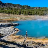Der "Black Pool" im "Biscuit Basin" scheint irgendwie den falschen Namen erhalten zu haben ;-). 
