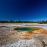 Auch ein Hingucker ist der "Opal Pool" im "Midway Geyser Basin". 
