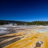 Im "Upper Geyser Basin" schauen wir uns die knallig gelben Farben des "Doublet Pools" an ...
