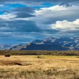 Wir verlassen den Bundesstaat "Wyoming" und fahren weiter nach "Idaho". 
