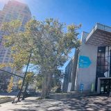 In "Salt Lake City" befindet sich ebenfalls das weltweit umfangreichste Familienarchiv. 
