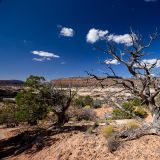 Und schon sind wir im "Natural Bridges National Monument" angekommen.

