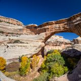 Bei der "Sipapu Natural Bridge" handelt es sich um die zweitgrösste Naturbrücke der USA. 

