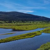 Landschaft entlang des "Cassiar-Stewart Highways". 
