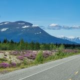 Impressionen vom "Alaska Highway". 
