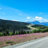 Mit den Wildblumen am Strassenrand sieht die Landschaft umso schöner aus. 
