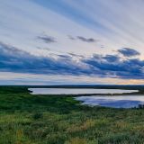 … 138km hoch ans Polarmeer. Die Tundra-Landschaft hat es uns einfach angetan. 
