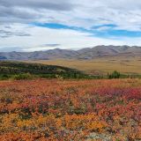 Dempster Highway
