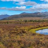 Dempster Highway
