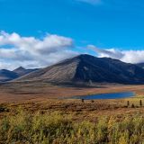 Auch der "Tombstone Territorial Park" zeigt sich uns diesmal von seiner schönsten Seite. 
