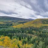 South Canol Road
