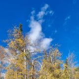 Bei den natürlichen Thermalquellen gibt es Temperaturen von 54° bis 32°. Also für jedermann ist etwas dabei. 
