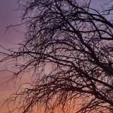 Ja auch Sonnenuntergänge gibt es in Kanada, nicht nur Nordlichter. 
