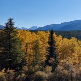 Der Herbst zeigt sich uns von seiner schönsten Seite. 
