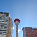Der 190,8m hohe Calgary Tower ist das Wahrzeichen der Stadt. 

