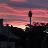 Ausblick von unserem ersten Hotel, der Mcleay Lodge in Potts Point.
