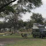 Einsames Camp bei der Khwai River Community Campsite.
